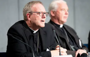 Bishop Robert Barron speaks at a briefing in the Holy See Press Office on Oct. 12.   Daniel Ibáñez. 
