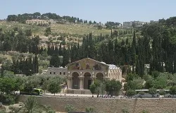 Basilica of the Agony located on the Mount of Olives in Jerusalem, next to the Garden of Gethsemane. ?w=200&h=150