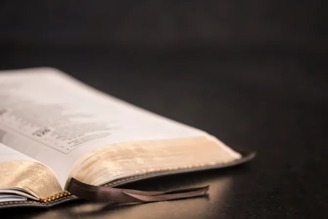 Bible Credit P Maxwell Photography  Shutterstock