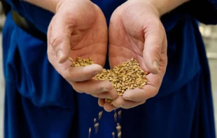 Courtesy of the Monastero di San Benedetto.