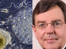 Archbishop Allen Vigneron 