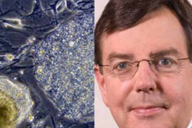 Bishop Allen Vigneron Diocese of Detroit CNA US Catholic News 10 05 10