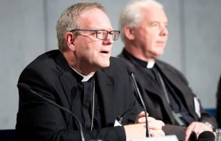 Bishop Robert Barron responds to a question at a press conference. Daniel Ibanez/CNA