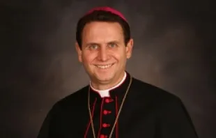 Bishop Cozzens.   Archdiocese of Saint Paul/Minneapolis.