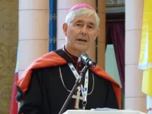 Bishop D. Eugene Hurley of Darwin, Australia gives a catechesis session at the 28th World Youth Day on July 26, 2013. 