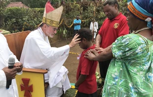 Bishop Donald Lippert of Mendi in Papua New Guinea. Courtesy of the Diocese of Mendi.