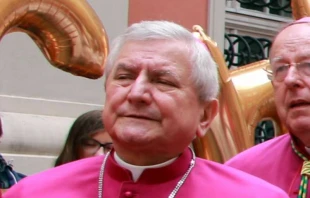 Bishop Edward Janiak.   Press Office of the Archdiocese of Krakow.