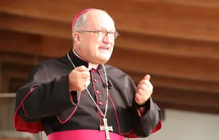 Bishop Enrico dal Covolo, S.D.B., rector of the Pontifical Lateran University, speaks to CNA Sept. 9, 2014.   Bohumil Petrik/CNA.