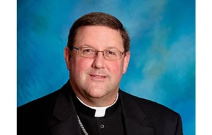 Bishop Gregory Parkes.   Diocese of St. Petersburg.