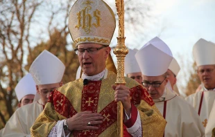 Bishop James D. Conley prays at installation Mass outside of Risen Christ Cathedral in Lincoln, Neb. on Nov. 20, 2012.   Seth DeMoor/CNA.