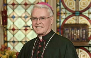 Bishop John Jenik. Courtesy photo: Archdiocese of New York.