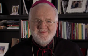 Bishop Laun during a Jan. 30, 2014 interview   Andreas Dueren/CNA.
