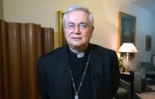 Bishop Mario Toso, Secretary of the Pontifical Council for Justice and Peace, speaks to CNA during a Dec. 14, 2012 interview.   Marta Jiménez Ibáñez/CNA.