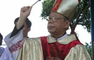 Bishop Paul Nguyên Thanh Hoan blesses the faithful at Our Lady of Tapao Shrine on July 13, 2009.   Community of Charity and Social Services.