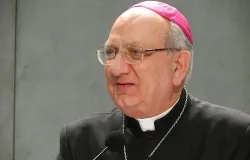 Archbishop Pier Luigi Celata answers questions from the media about the motu proprio on Feb. 25, 2013. ?w=200&h=150
