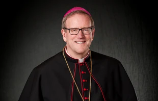 Bishop Robert Barron. Courtesy of DeChant-Hughes Public Relations.