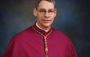 Bishop Robert Finn of Kansas City-Saint Joseph.