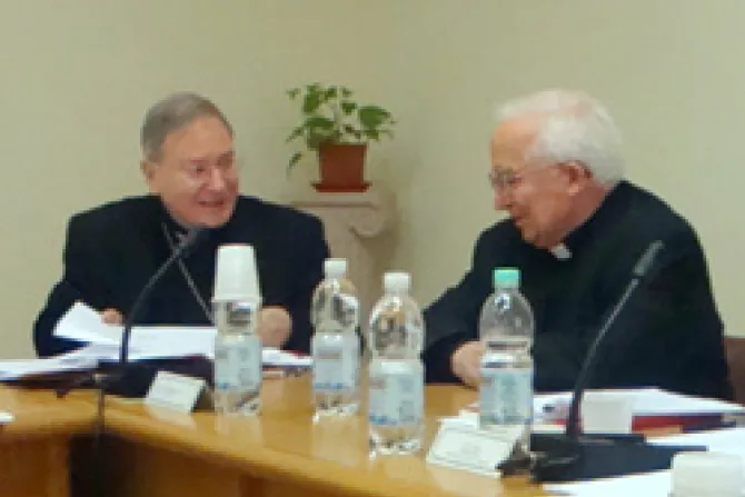 Bishop Serratelli speaks to Cardinal Canizares Llovera CNA World Catholic News 2 8 11