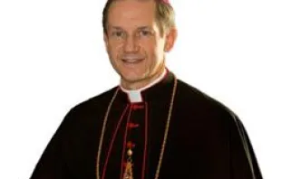 Bishop Thomas Paprocki of Springfield, Ill. 