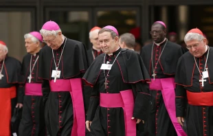 Bishops exiting the Vatican's Paul VI Hall during the Synod on the Family, Oct. 9, 2015.   Daniel Ibanez/CNA.
