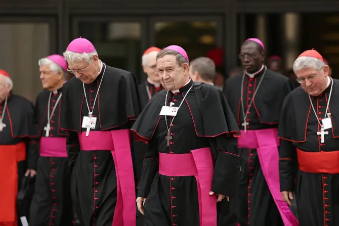 Bishops and Cardinals walking out of the Paul VI Hall during the Synod of Bishops on Oct 9 2015 Credit Daniel Ibanez CNA 10 9 15