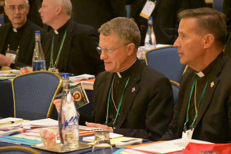 Bishops at the 2019 USCCB fall assembly in Baltimore. ?w=200&h=150