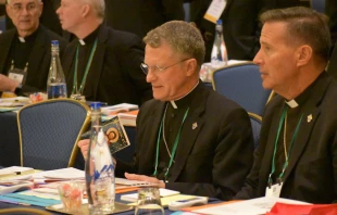 Bishops at the 2019 USCCB fall assembly in Baltimore.   Matt Hadro / CNA.