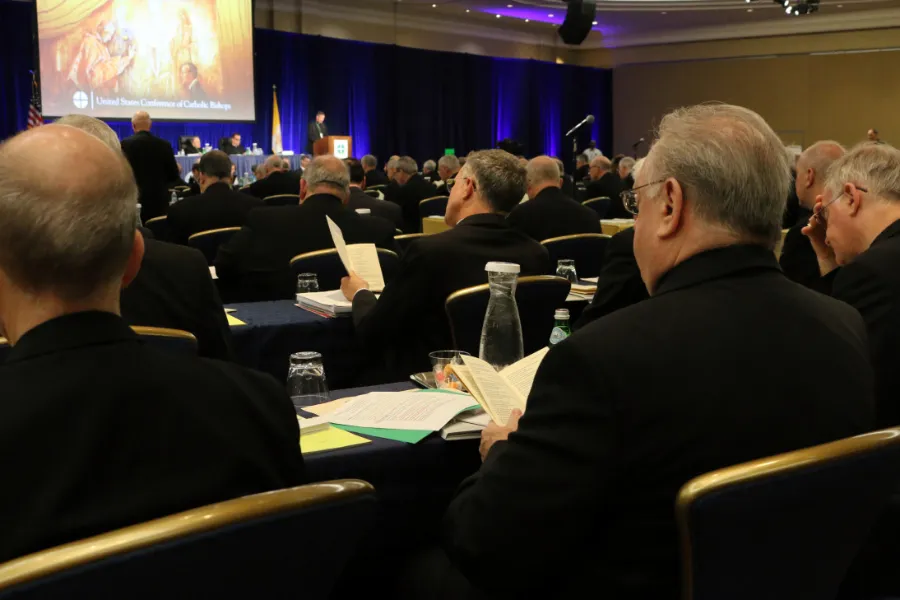 Bishops at the USCCB General Assembly in Baltimore, June 12, 2019. ?w=200&h=150