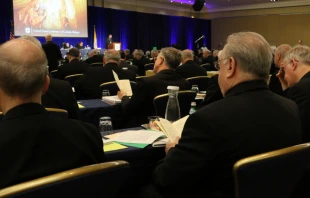 Bishops at the USCCB General Assembly in Baltimore, June 12, 2019.   Kate Veik/CNA.