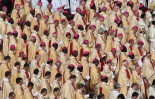 Bishops attend a Mass of Canonization in St. Peter's Square, Oct. 18, 2015.   Martha Calderon/CNA.