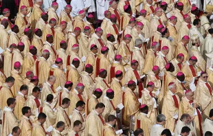 Bishops attend a Mass of Canonization in St. Peter's Square, Oct. 18, 2015.   Martha Calderon/CNA.
