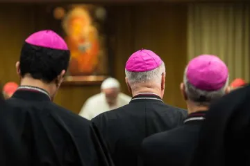 Bishops gathered with the Pope at the 2014 Synod on the Family Credit  Mazur catholicnewsorguk CNA
