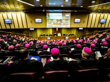 Bishops inside the synod hall. 
