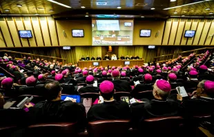 Bishops inside the synod hall.   Daniel Ibanez/CNA.