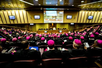 Bishops inside the synod hall Credit Daniel Ibanez CNA