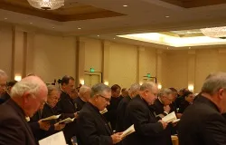 Bishops pray together before the start of the first session of the USCCB's Fall General Assembly in Baltimore on Nov. 11, 2013. ?w=200&h=150