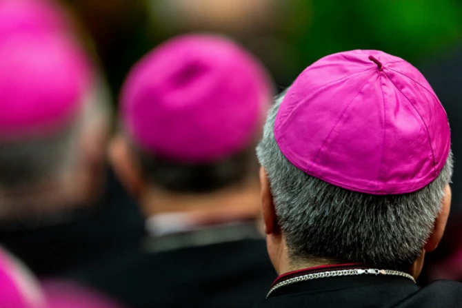Bishops with Pope Francis at CEI assembly Daniel Ibanez 9