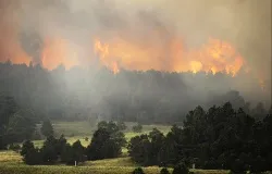 Black Forest Fire in Colorado Springs. ?w=200&h=150
