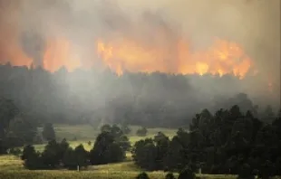 Black Forest Fire in Colorado Springs.   Chris Schneider/Getty Images, Getty Images News