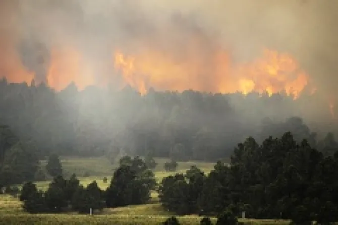 Black Forest Fire in Colorado Springs Credit Chris Schneider Getty Images Getty Images News CNA Large US Catholic News 6 13 13