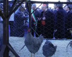 Cardinal Angelo Comastri at the Vatican's annual blessing of animals on Jan. 17, 2012.?w=200&h=150
