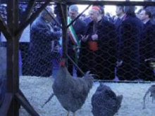 Cardinal Angelo Comastri at the Vatican's annual blessing of animals on Jan. 17, 2012.