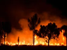 Bush fire in Australia. 