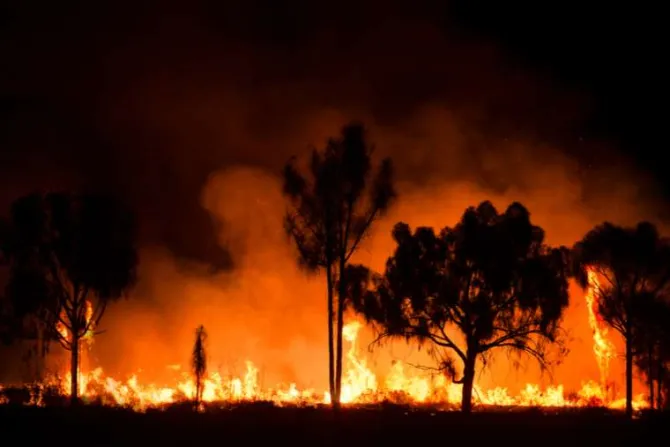 Bush fire in Australia Credit JP Phillippe  Shutterstock 