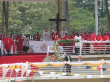 Pope Francis celebrates Mass at the Shrine of the Uganda martyrs at Namugono Nov. 28, 2015. 
