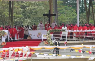 Pope Francis celebrates Mass at the Shrine of the Uganda martyrs at Namugono Nov. 28, 2015.   Martha Calderon / EWTN.