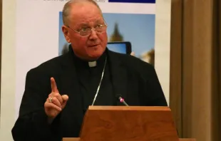 Cardinal Timothy Dolan. Stephen Driscoll/CNA