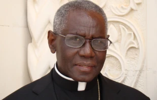 Cardinal Robert Sarah, prefect of the Congregation for Divine Worship, in Rome on Nov. 25, 2014.   Paul Badde.