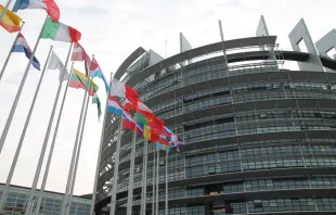 The European Parliament in Strasbourg, France, on Nov. 25, 2014. Alan Holdren/CNA.