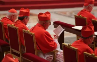 Cardinals gathered at St. Peter's Basilica on April 11, 2015 during the Convocation of the Year of Mercy.   Elise Harris/CNA